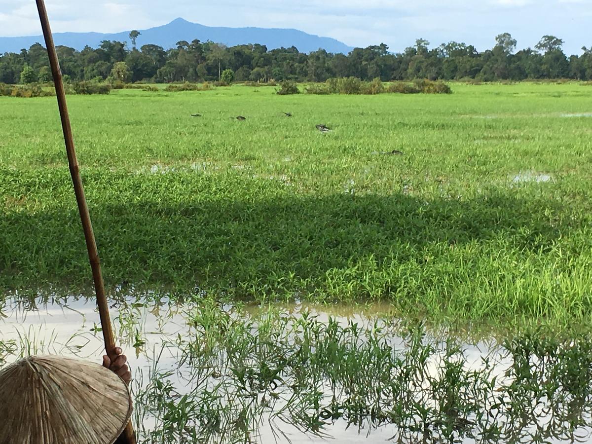 Kingfisher Ecolodge Ban Kian-Ngong Екстериор снимка